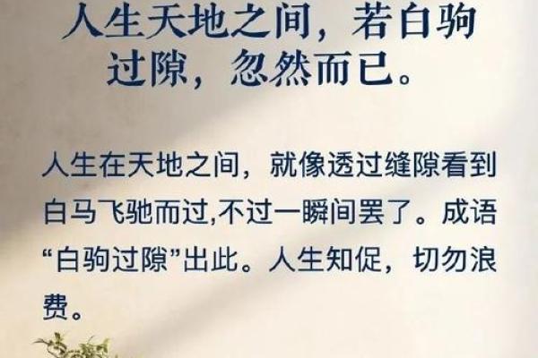 探寻“担心”与“命运”的复杂关系，解读成语中的人生哲学