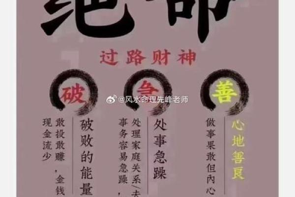属猪金命的人缺乏什么？探寻内心的财富与平衡之道