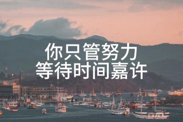 拼过命的歌声：追寻努力与坚持的旋律