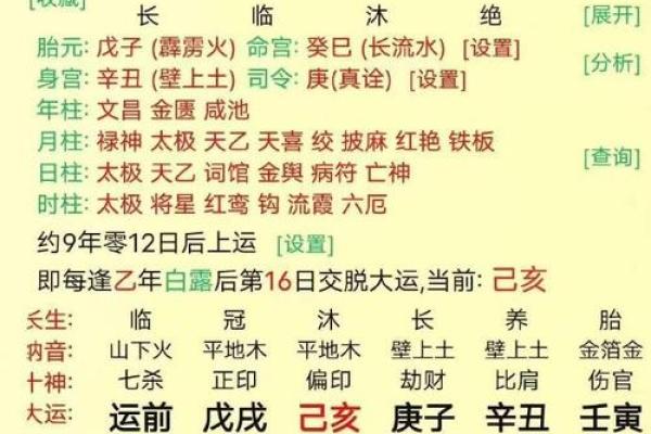 壬戌日的男女命解析：命理中独特的性别差异与人生轨迹