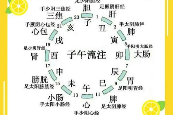 1000年的花甲命：探索时间的秘密与人生的智慧