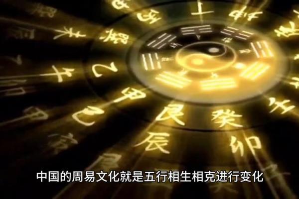 1998年出生命运解析：揭开你的性格与人生运势的奥秘