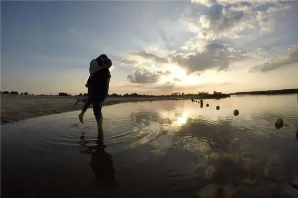 白蜡金命：适合的职业与人际关系指导，开启人生新篇章！