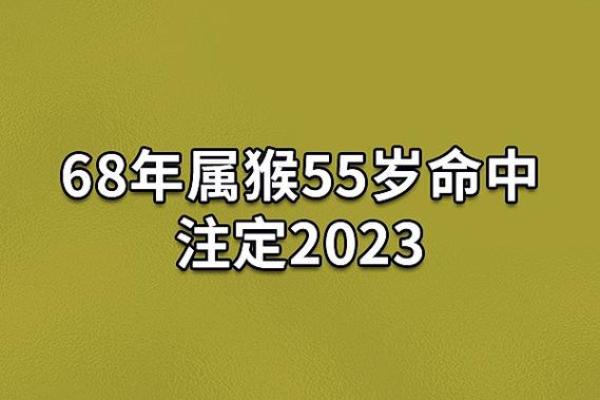 属猴人：2003年出生的命理解析与生活智慧