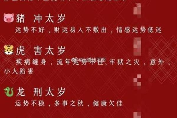 属猪命里带什么好，提升运势的生肖指南