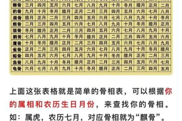 2012年阴历7月出生的人：命理分析与人生特点探索