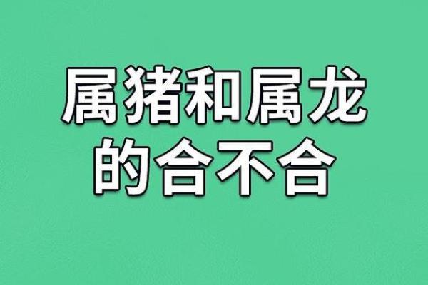 2007属猪人：了解他们的命运与个性特征