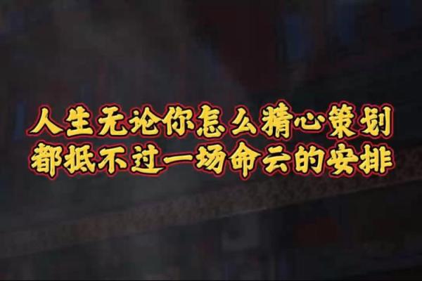 探索“忧命”的深层含义与人生智慧