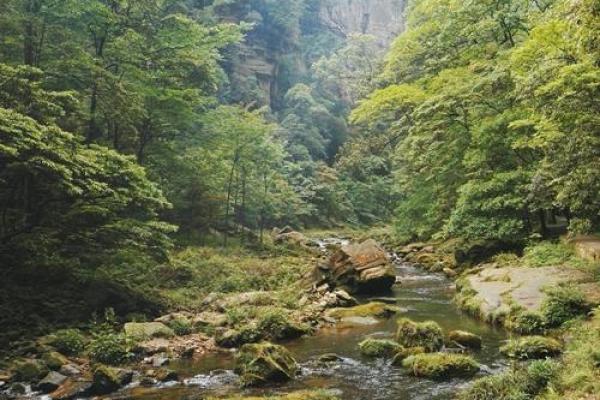 探秘莱州掖县公园的悠美景致与自然魅力