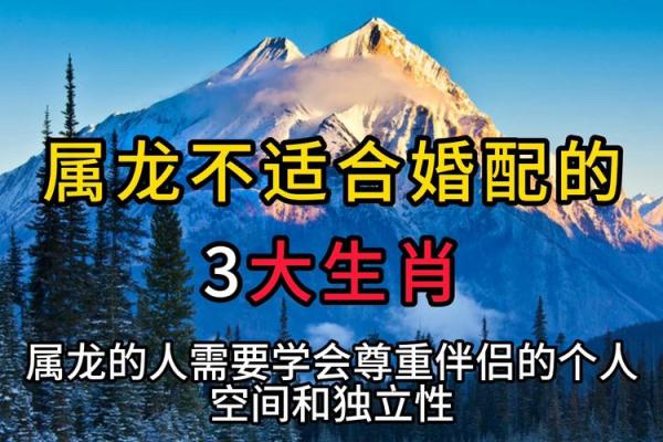 属龙2011年出生的人命理揭秘：幸福与成功的双重追求