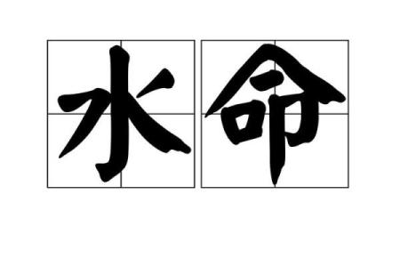 水命父母如何选择最佳命理搭档，助力孩子茁壮成长！