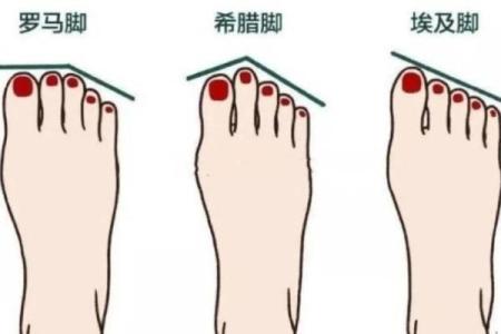 脚型与命运：你相信吗？探寻脚与人生的神秘联系