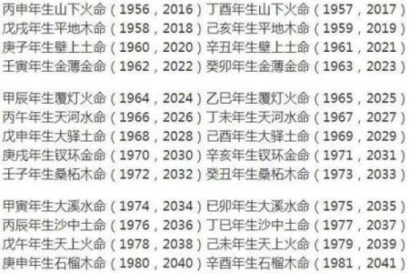 93年男鸡的命理揭秘：金命与水命的深度分析