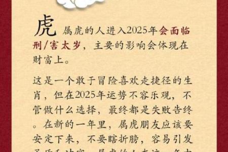 1893年生肖与命运的深刻解析：你是如何受到生肖影响的？