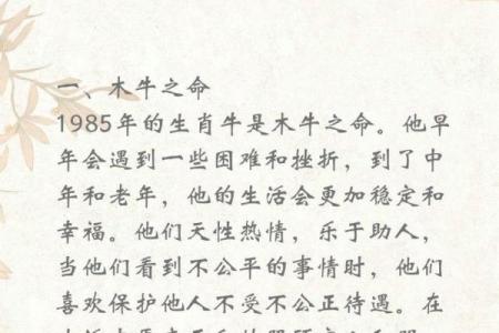 85年出生的人命理解析：揭示命运与个性之谜