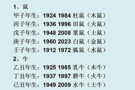 2009年是怎样的一年？探寻牛年命理的奥秘与启示