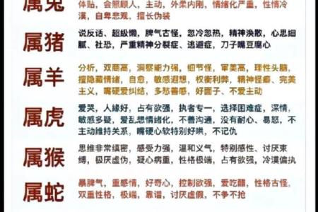 1988年出生者的命运与人生探索：解读生肖与命理的密码