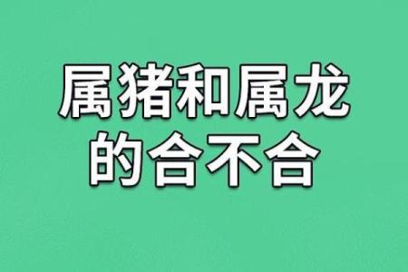 2007属猪人：了解他们的命运与个性特征