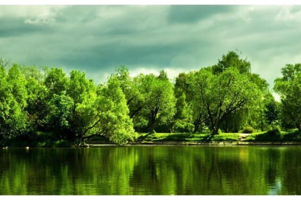 1995年出生的木命人:探索他们的性格与人生轨迹 1995年出生的木命人:探索他们的性格与人生轨迹