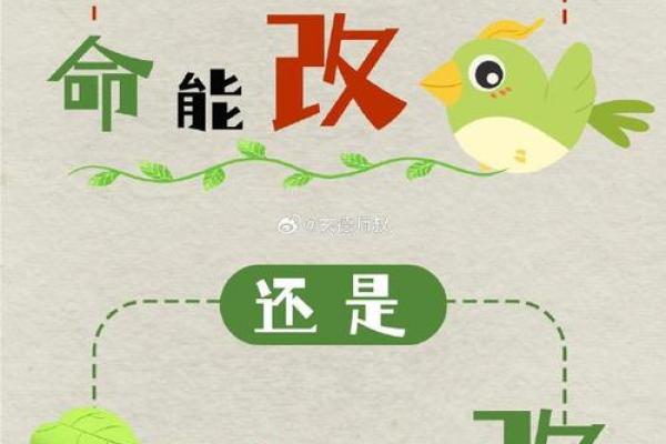 探索命运:如何通过笔划分析改善人生运势 探索命运:如何通过笔划分析改善人生运势