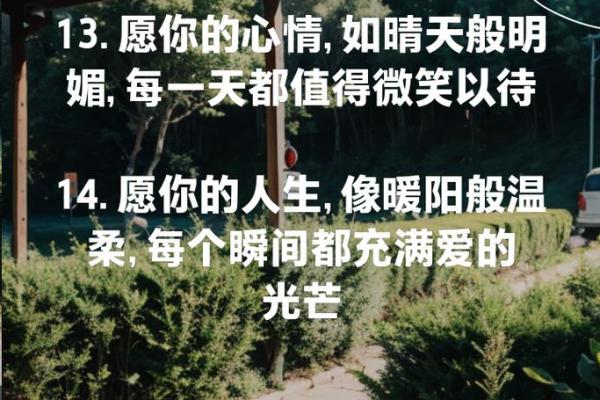 2023年7月的生活感悟：拥抱每一个平凡而精彩的瞬间