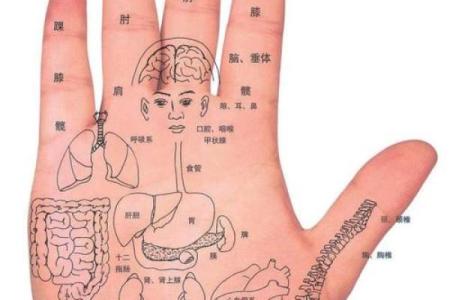 手相解析：如何通过手相了解你的命运与未来