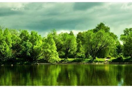 1995年出生的木命人：探索他们的性格与人生轨迹