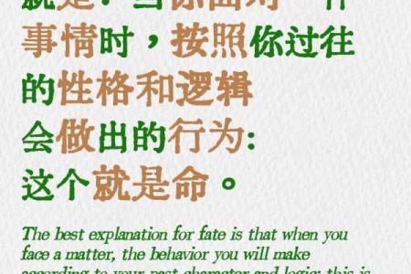 根据出生时间解析命运的奥秘，揭示你的人生轨迹与性格特征