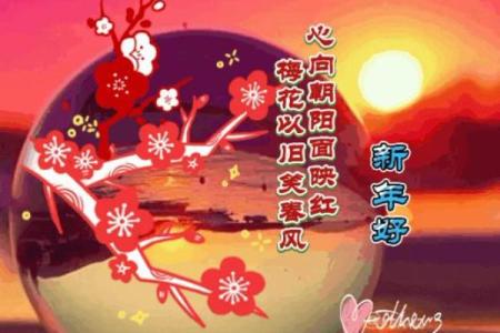 除夕生日的人生解析：命里缺什么，如何补足？