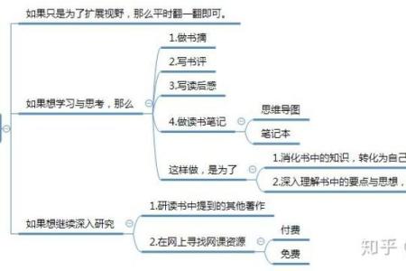 解读1979年子时出生者的命运与人生轨迹