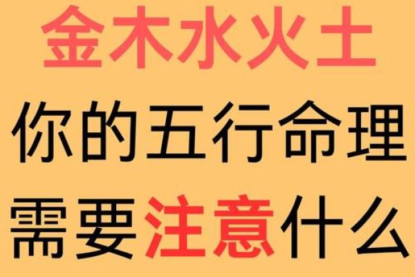 探索命理奥秘：定数与命运的深度解读