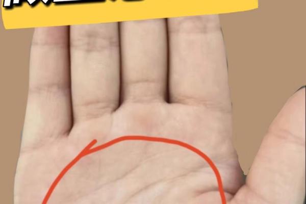 揭示手相掌纹背后的命格智慧，探索人生的玄机与方向！