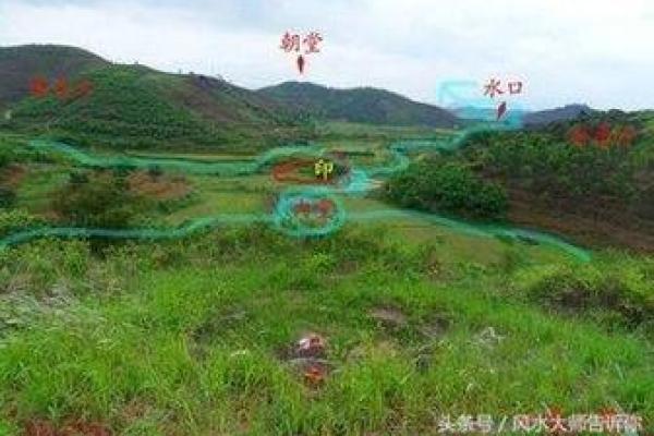 探秘木命墓地方位：自然之灵的归宿与能量的交汇