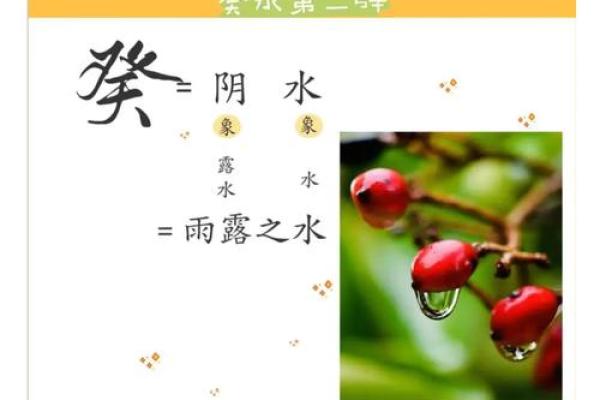 八字水命：探寻生命中的流动与智慧