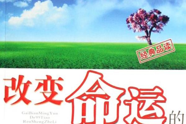 1980年出生的命运与人生之路：探秘命理与人生选择的交织