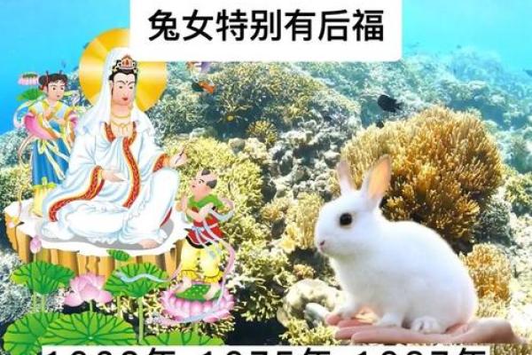 解密兔年出生者的命运秘密:75年属兔的独特生活与性格特征 解密兔年出生者的命运秘密:75年属兔的独特生活与性格特征