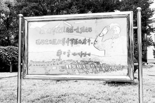 1981年出生的命运：那些年，我们的故事与梦想