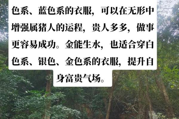 1972年属猪的水命解析：探索个性与命运的奥秘