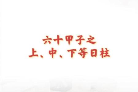 壬申癸丑丁巳命：探寻生命中的智慧与力量