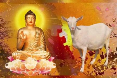 属羊2015年出生的命运解析：机遇与挑战并存的生命旅程