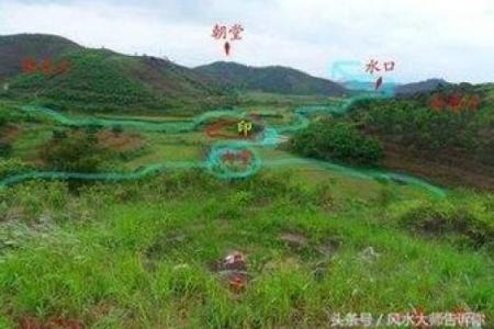 探秘木命墓地方位：自然之灵的归宿与能量的交汇