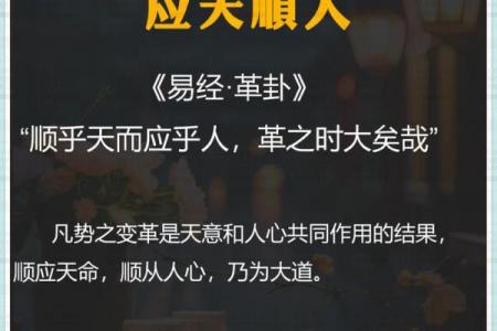 基于《易经》的智慧：人生中的成语启示