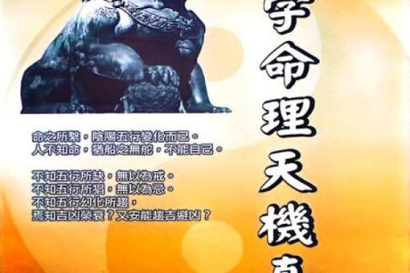 39岁属什么命？探秘命理背后的生活智慧