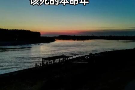 2014年：一个充满转变与希望的命运之年