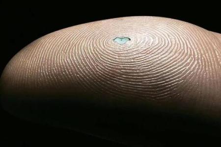 手上指纹的奥秘：揭示人格与命运的神秘密码