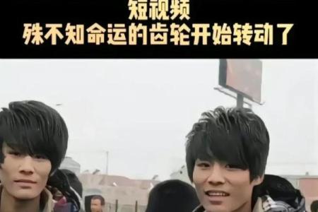 横死的背后：命运的无常与人生的启示