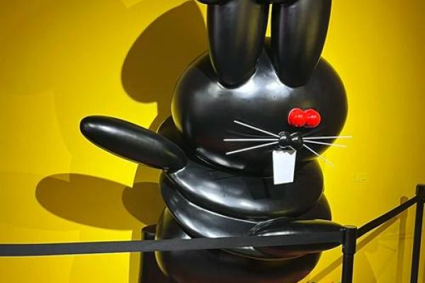 2008年兔年命运解析：聪慧与柔和的统一之道