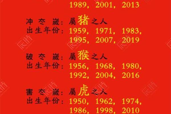 2025年属什么命？探秘属相与命理的奥秘