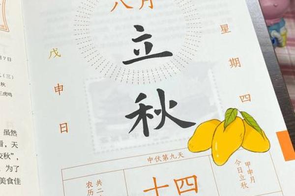 2023立秋后出生的宝宝，命运将如何转变？一探究竟！