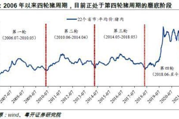 2019年猪年出生的人命理解析：个性、事业与未来展望